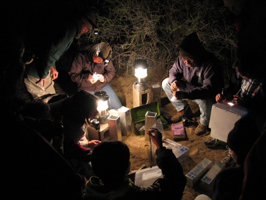Walter Sakai teaching Field Studies course from Santa Monica College